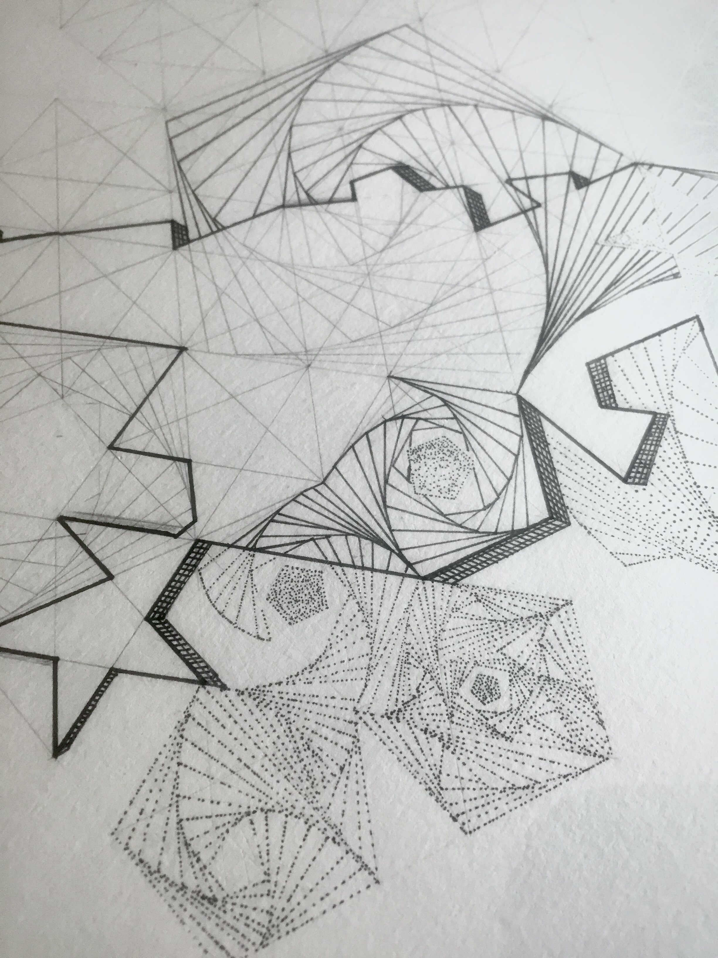 Detail of Fractal Pentagon Medley by Damian Mendez Romera