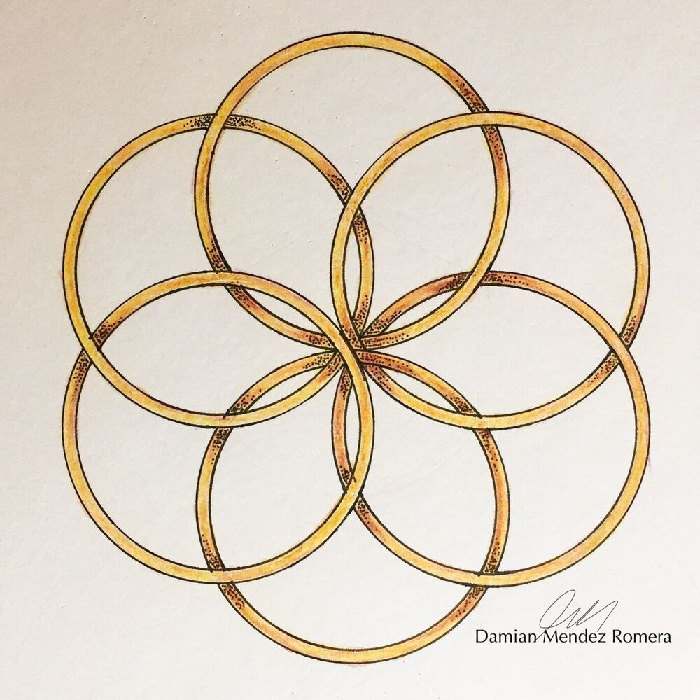 Rings by Damian Mendez Romera