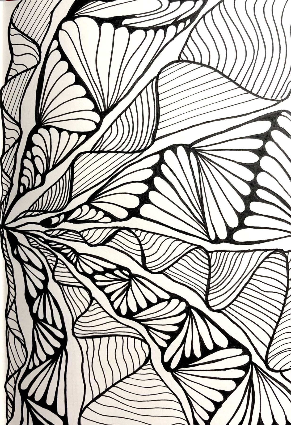 Untitled Zentangle by Damian Mendez Romera